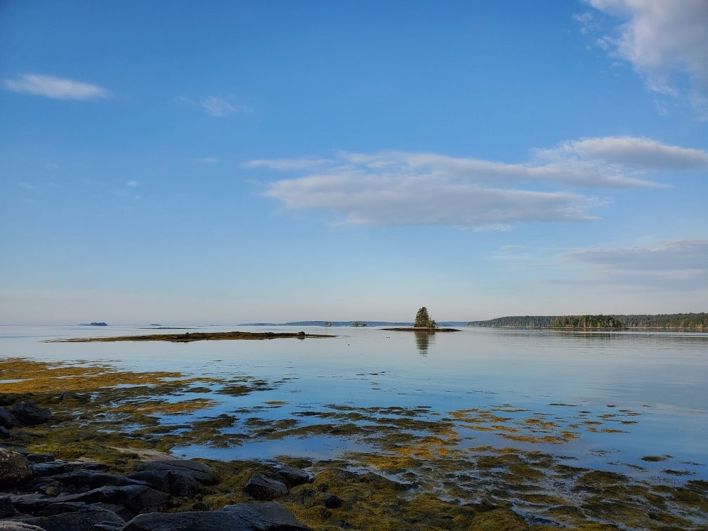 Explore More of Maine Round Pond Reclaimed Maine Co.