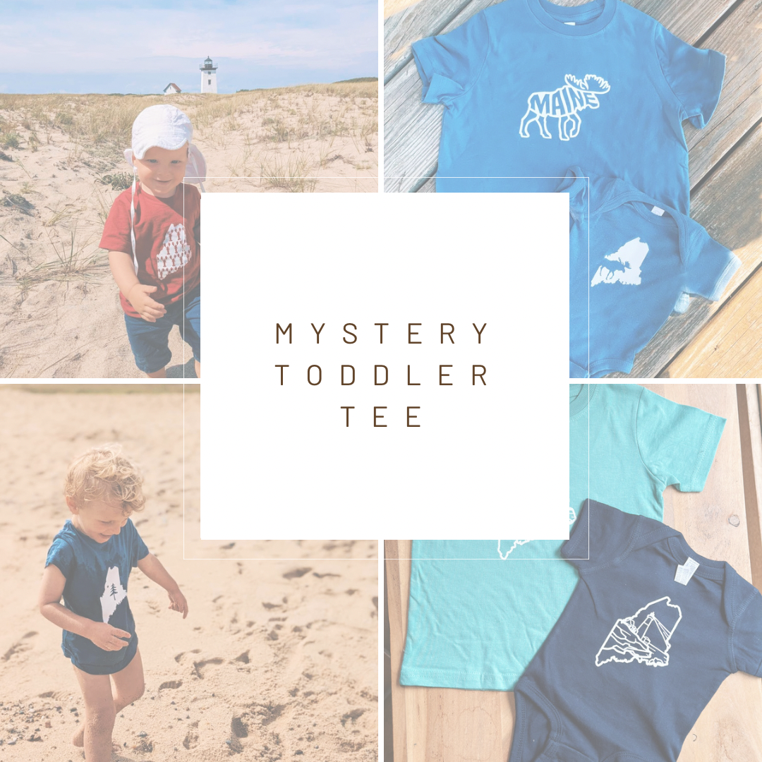 Mystery Toddler Tee