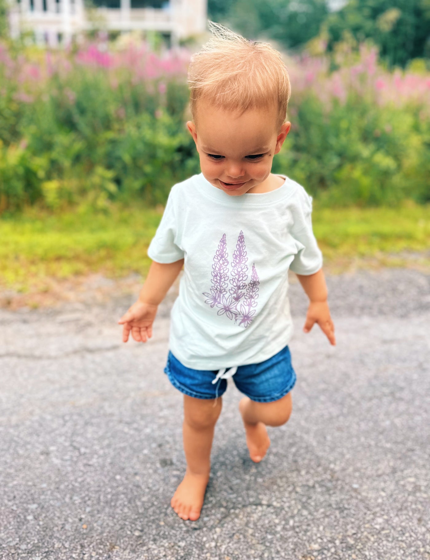 Maine Lupine Toddler Tee