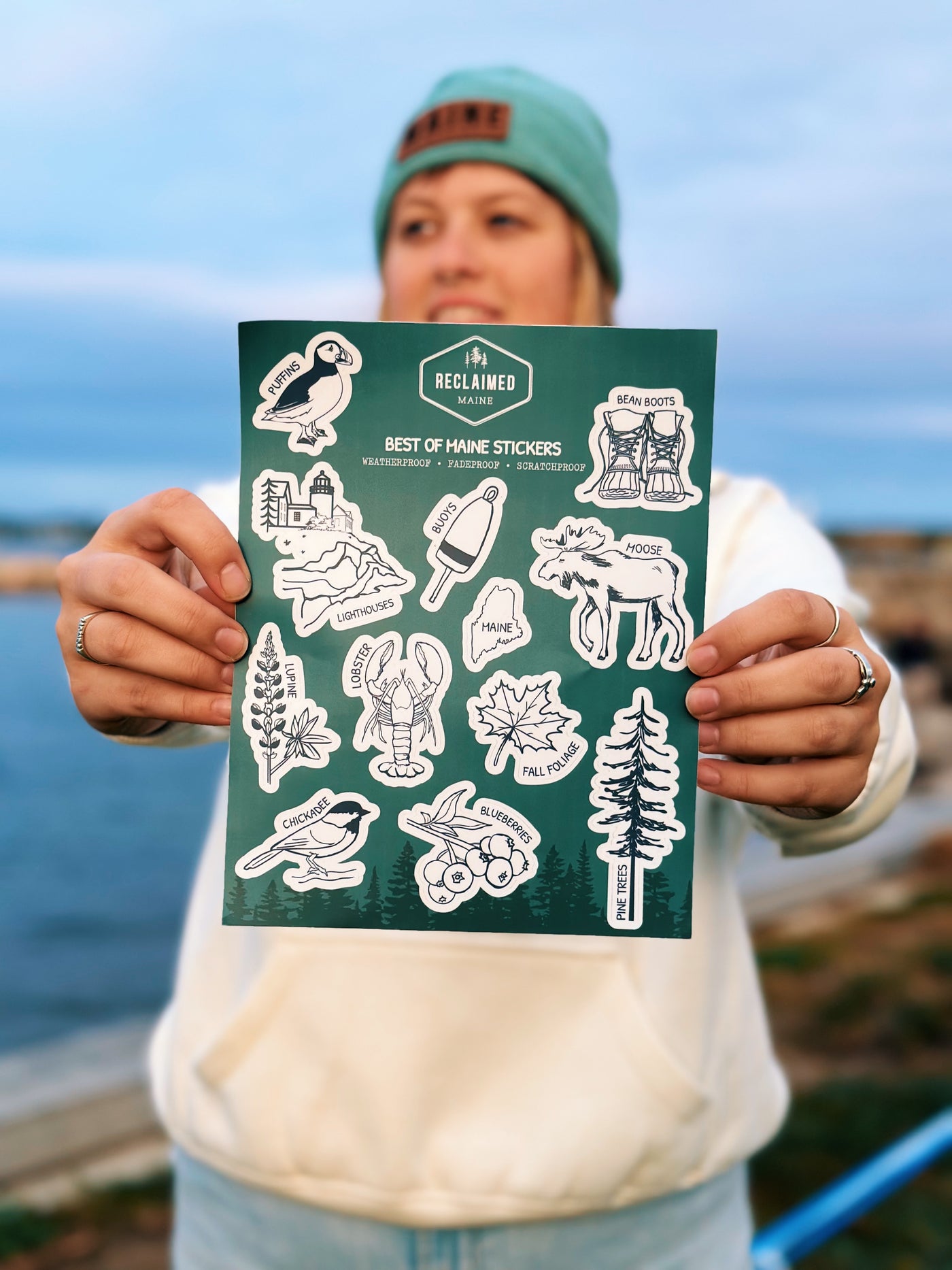 Best of Maine Sticker Sheet