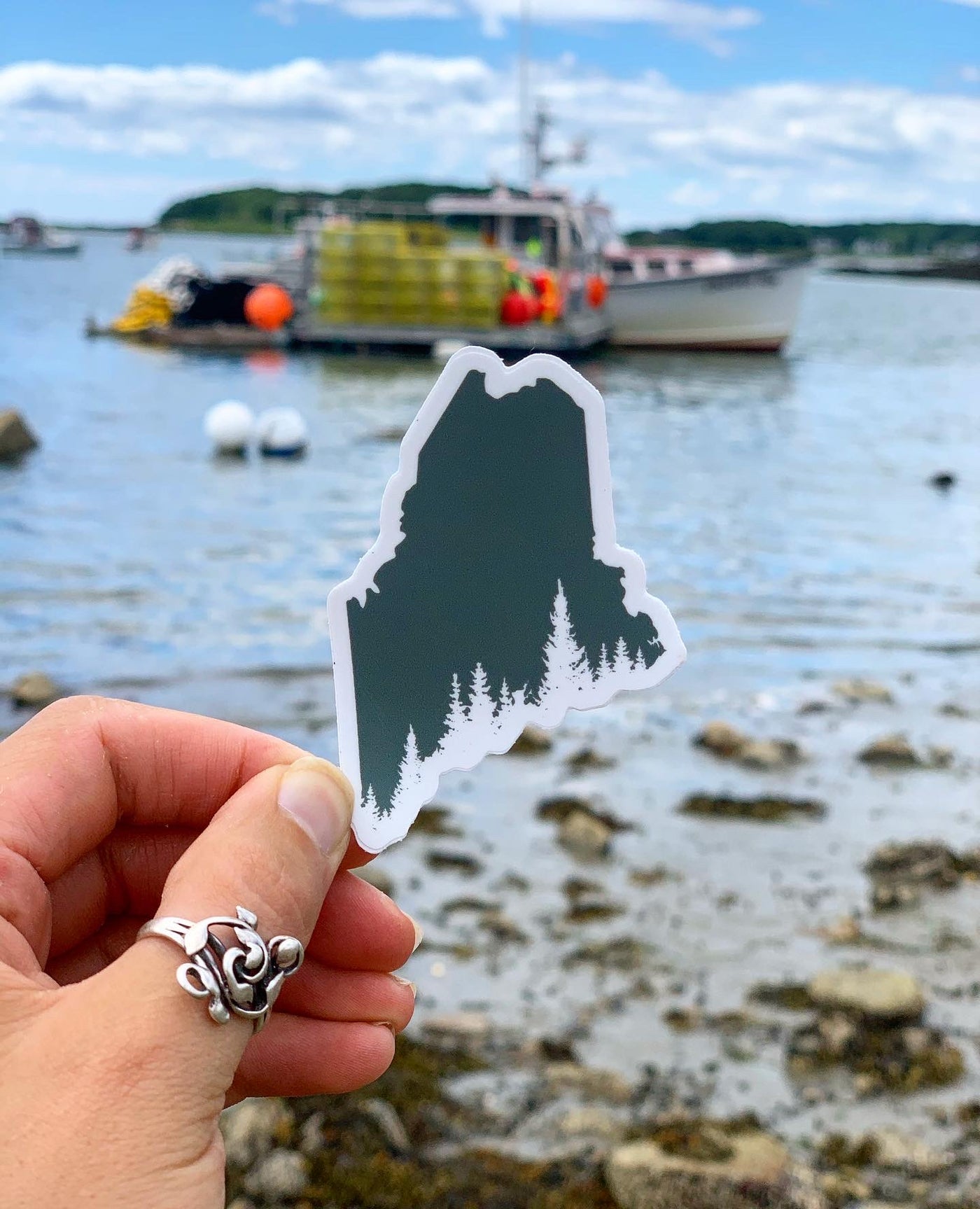 Maine Pine Tree Coast Sticker