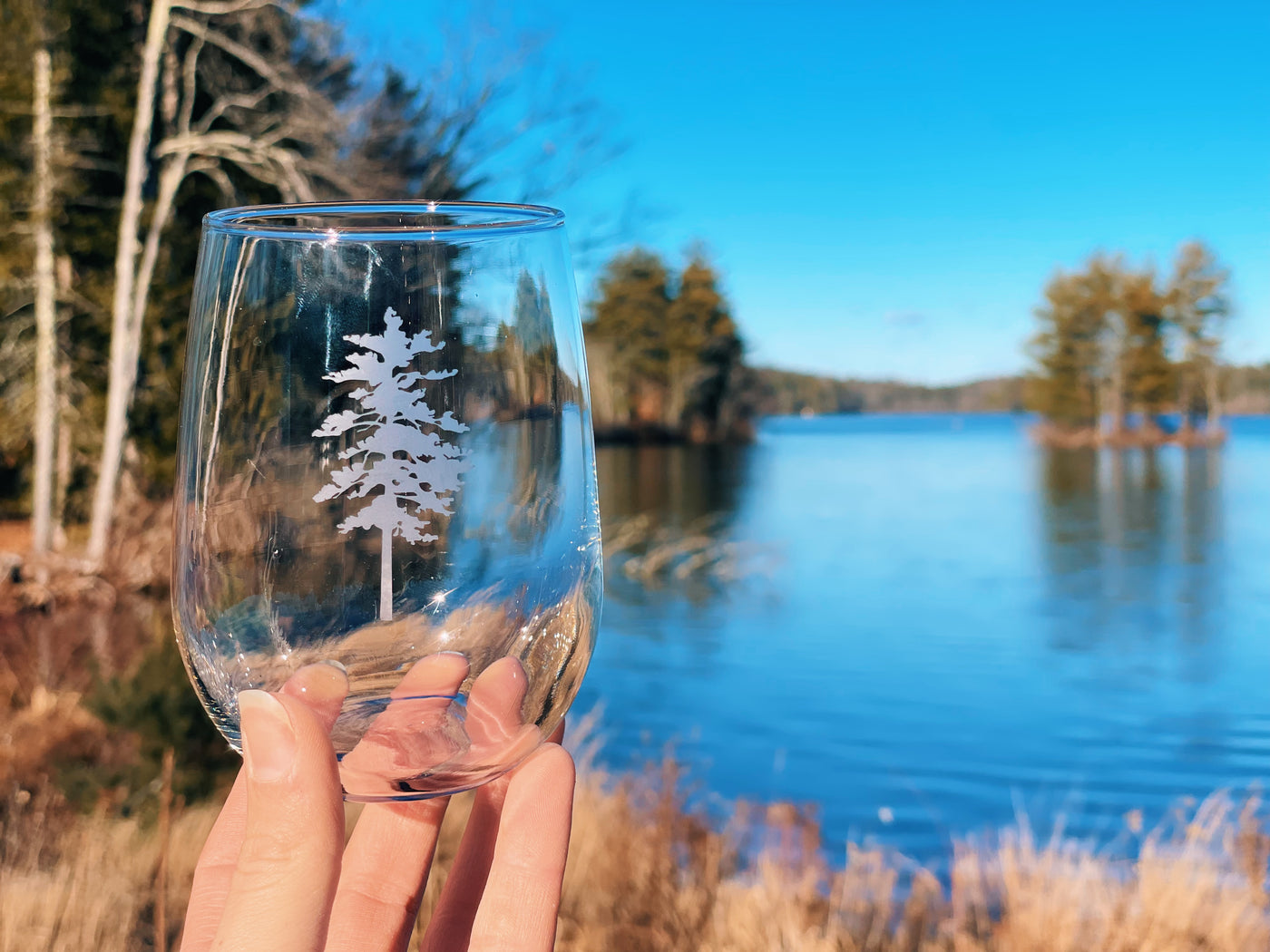 Conifer Etched Stemless Wine Glass