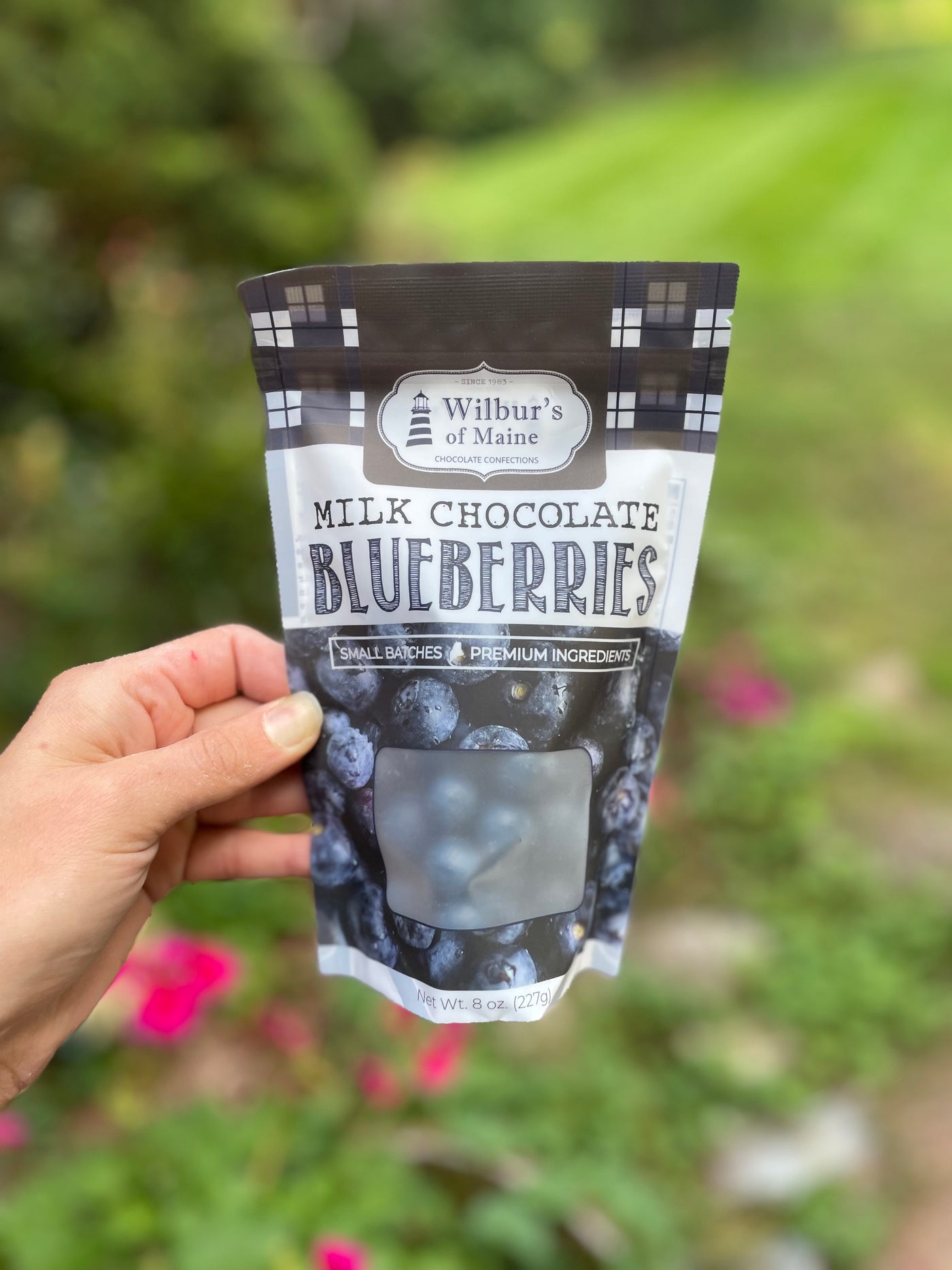 Wilbur’s Chocolate Covered Blueberries