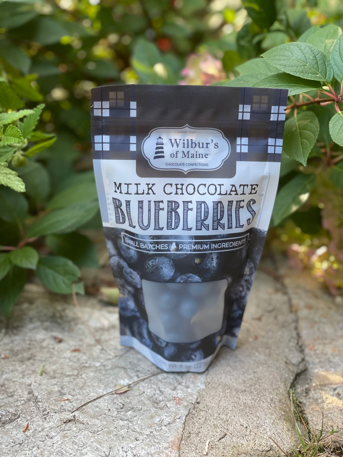 Wilbur’s Chocolate Covered Blueberries